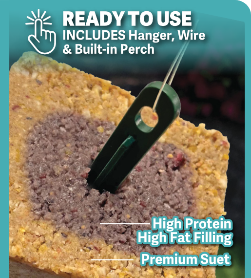 Hungrybird Rtu Suet Bars Energy Plus