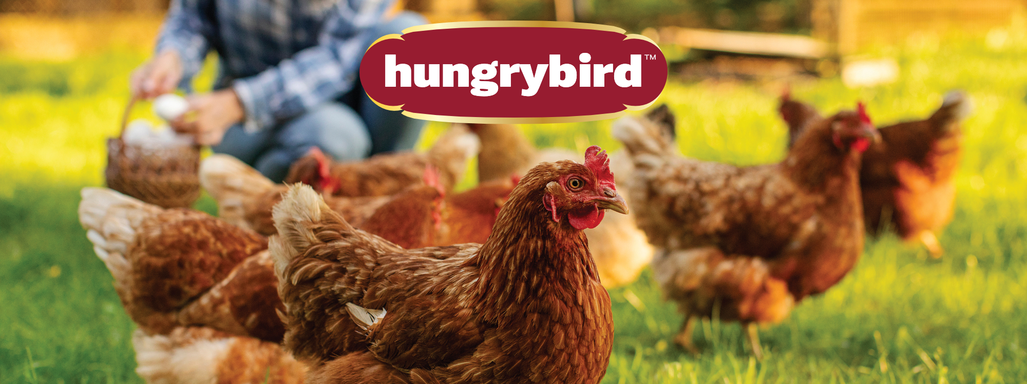 Hungrybird Poultry Banner