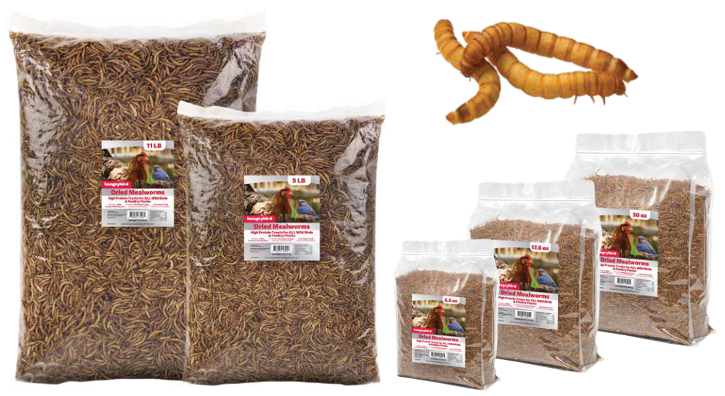 Hungrybird Dried Mealworms All Sizes