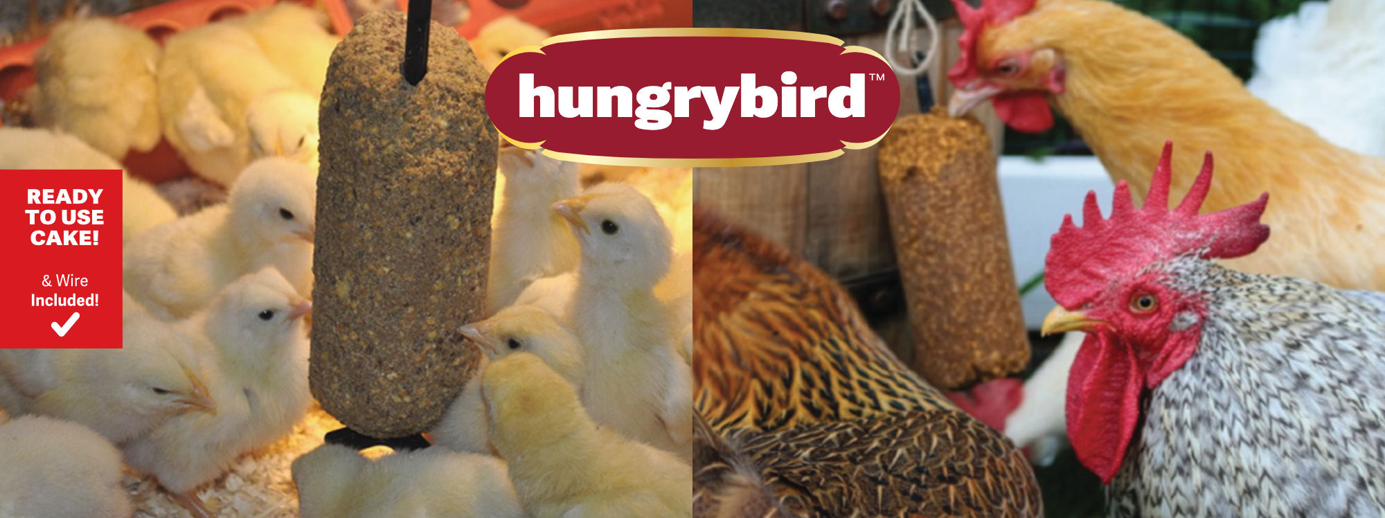 Hungrybird Poultry Banner Suet Cake Treats 2